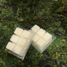 Load image into Gallery viewer, Gun Powder- Two Packs of Handmade Soy Wax tarts/Melts