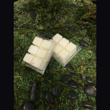 Load image into Gallery viewer, Cinnamon &amp; Sandalwood- Two Packs of Handmade Soy Wax tarts/Melts