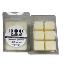 Load image into Gallery viewer, Daffodil- Two Packs of Handmade soy Wax Tarts/Melts. 6 Cubes per pack!